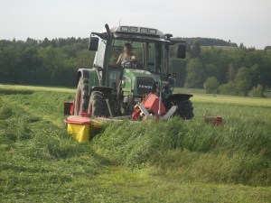 Futterbau-Gras mähen
